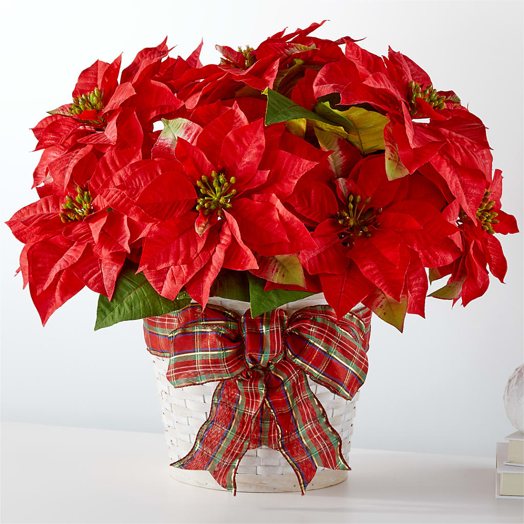 Happiest Holidays Poinsettia – Mulberry Florist And Gift Shop, Elizabethtown KY