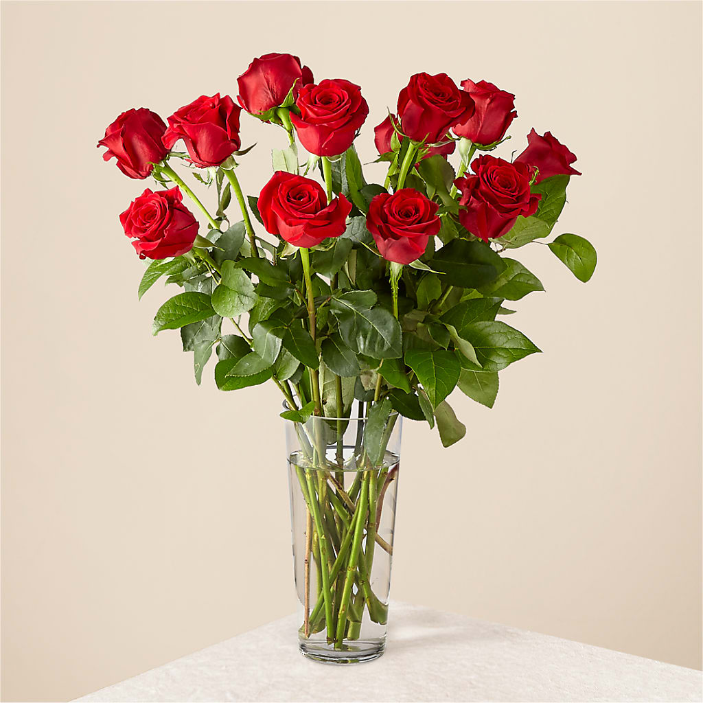 Long Stem Red Rose Bouquet – Mulberry Florist And Gift Shop, Elizabethtown KY