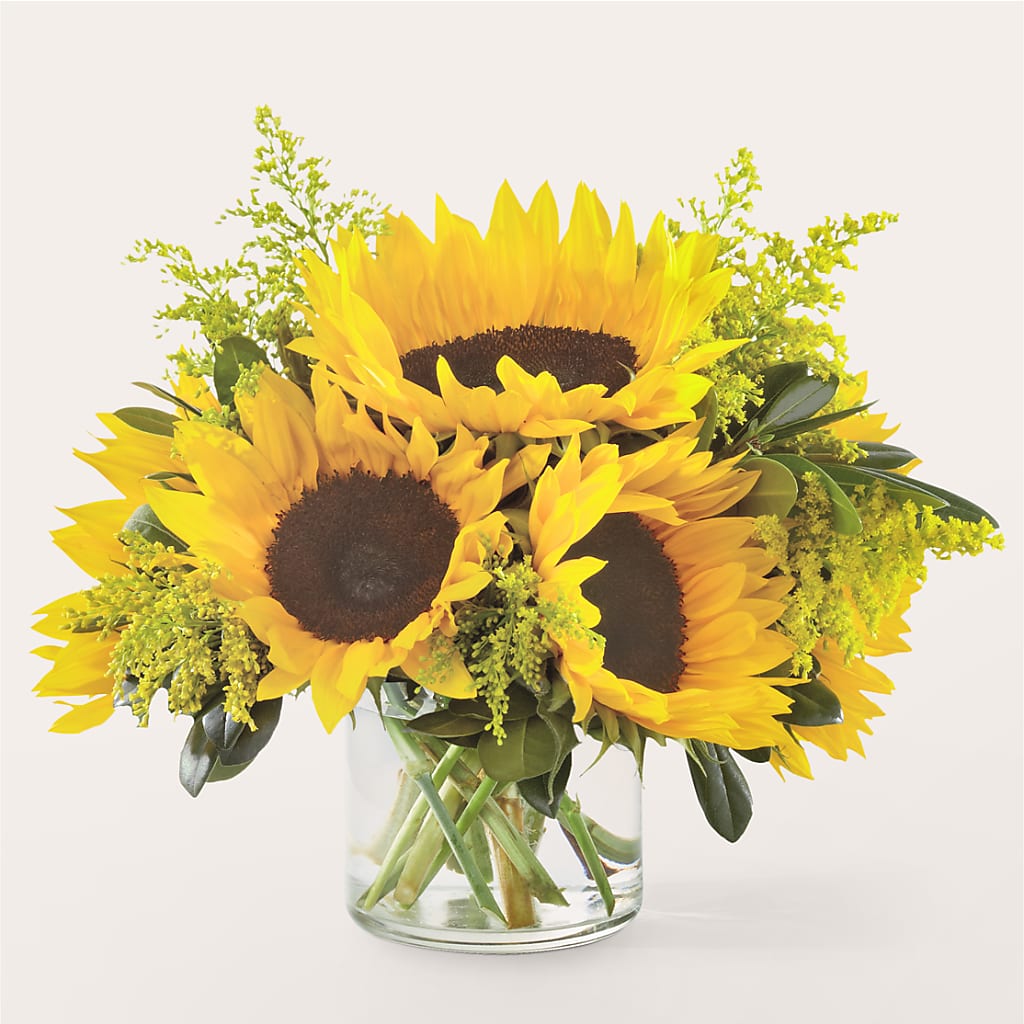 Beaming Sunflower Bouquet – Mulberry Florist And Gift Shop, Elizabethtown KY