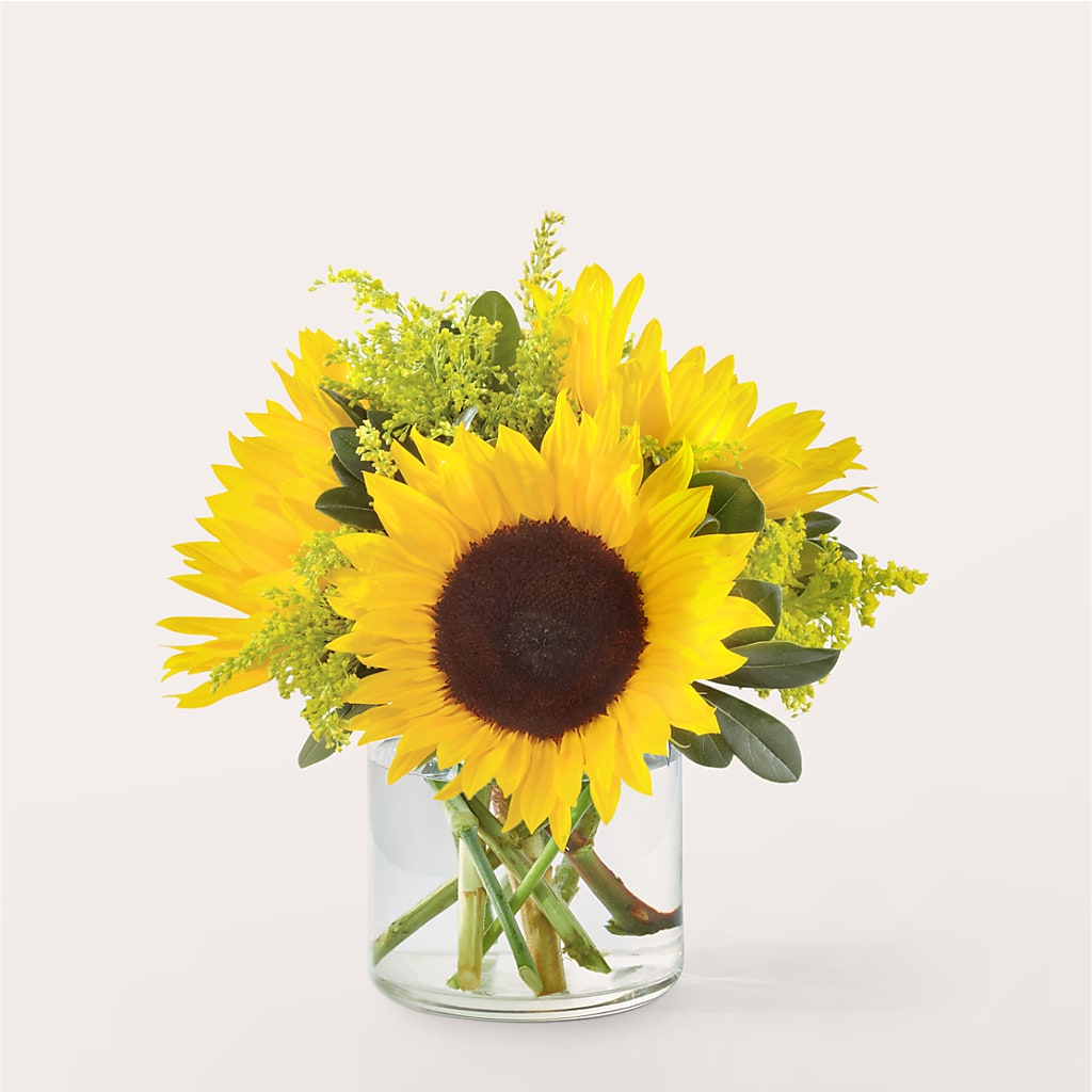 Beaming Sunflower Bouquet – Mulberry Florist And Gift Shop, Elizabethtown KY