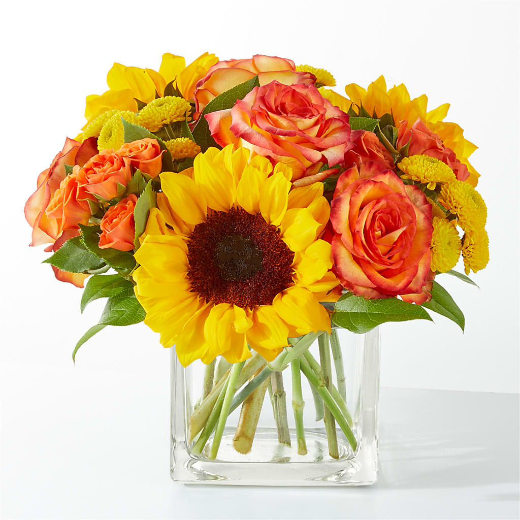 Picnic in the Park Bouquet – Mulberry Florist And Gift Shop, Elizabethtown KY