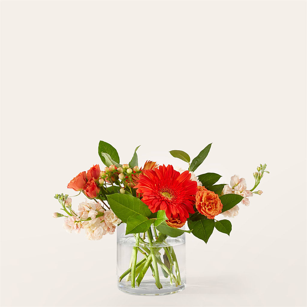 Paloma Please Bouquet – Mulberry Florist And Gift Shop, Elizabethtown KY