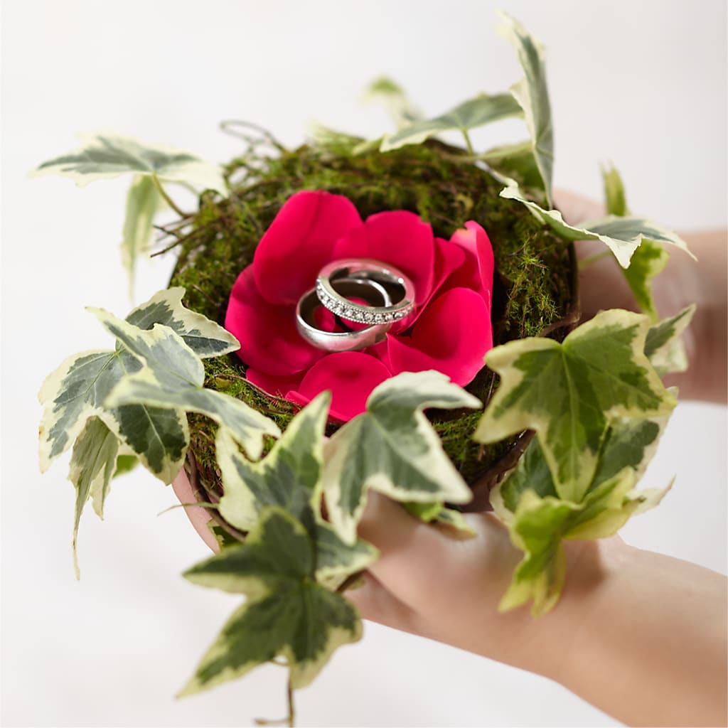 Lila Rose Ring Nest – Mulberry Florist And Gift Shop, Elizabethtown KY