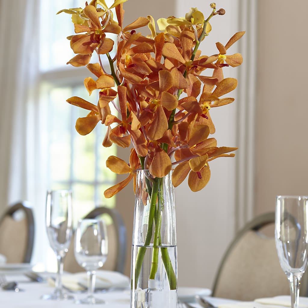 Orange Mokara Bud Vase – Mulberry Florist And Gift Shop, Elizabethtown KY
