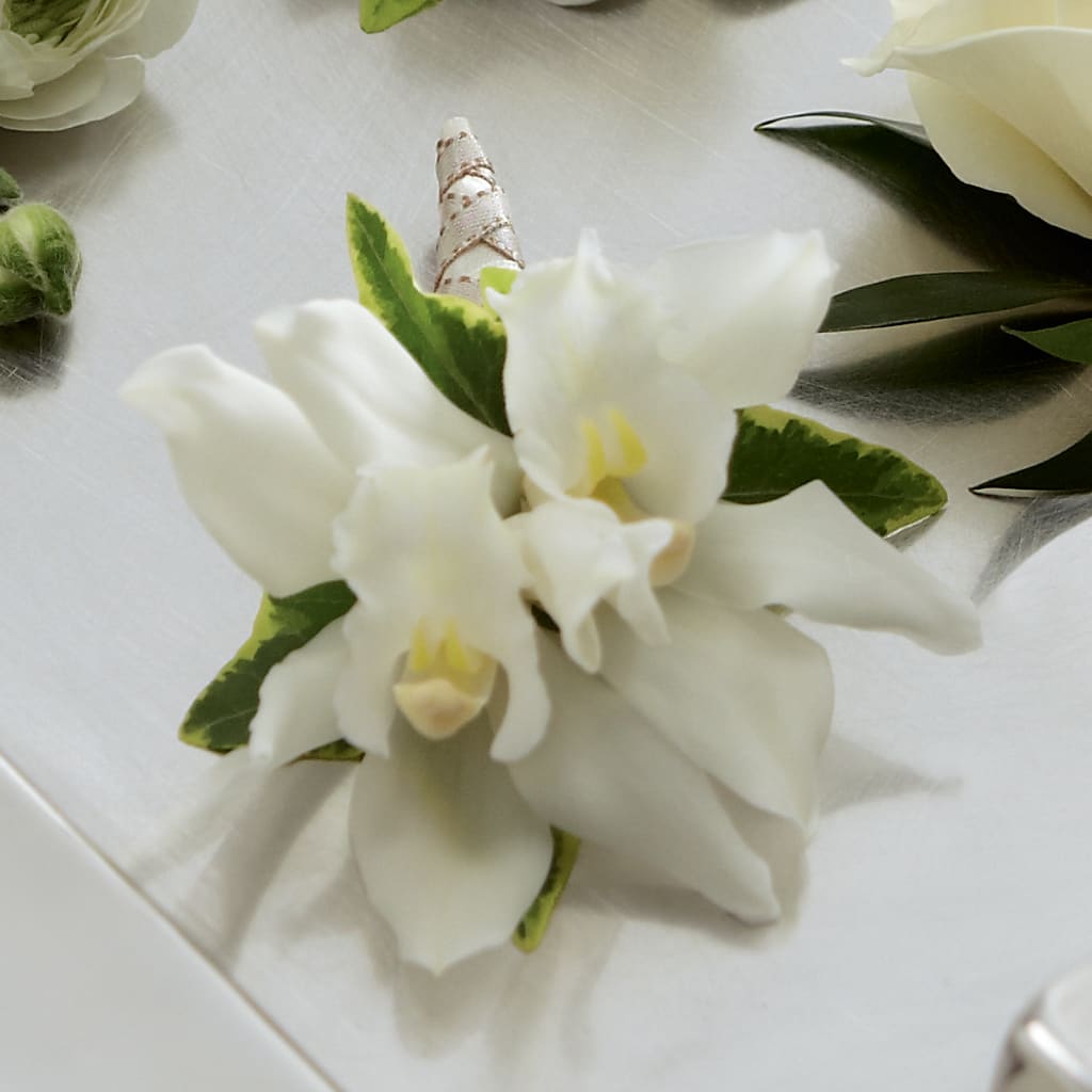 White Mini Cymbidium Boutonniere – Mulberry Florist And Gift Shop, Elizabethtown KY