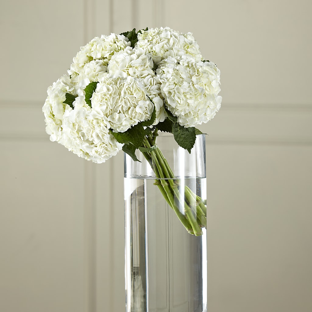White Hydrangea Hand-Tied Bouquet – Mulberry Florist And Gift Shop, Elizabethtown KY