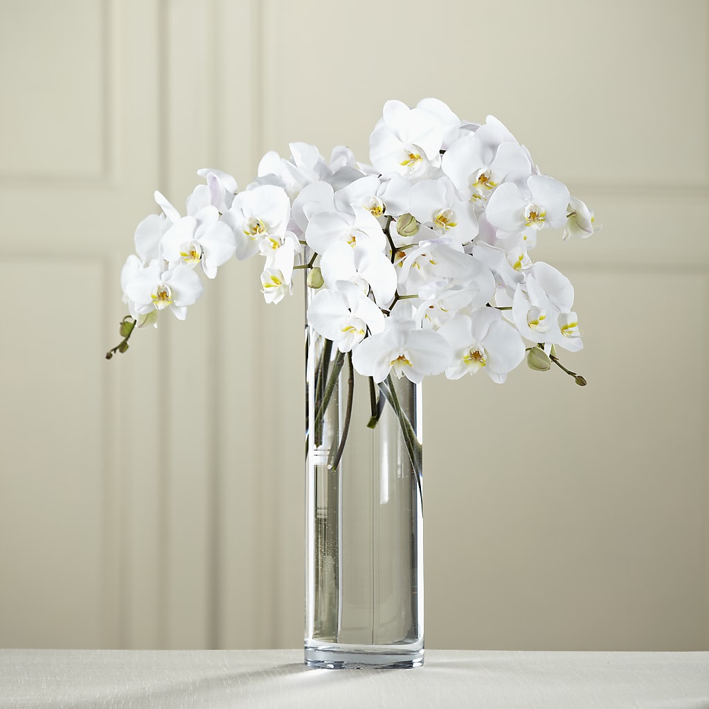White Phalaenopsis Bouquet – Mulberry Florist And Gift Shop, Elizabethtown KY