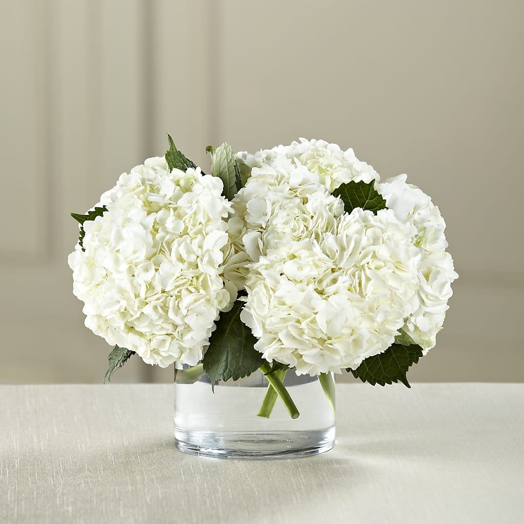 White Hydrangea Bouquet – Mulberry Florist And Gift Shop, Elizabethtown KY