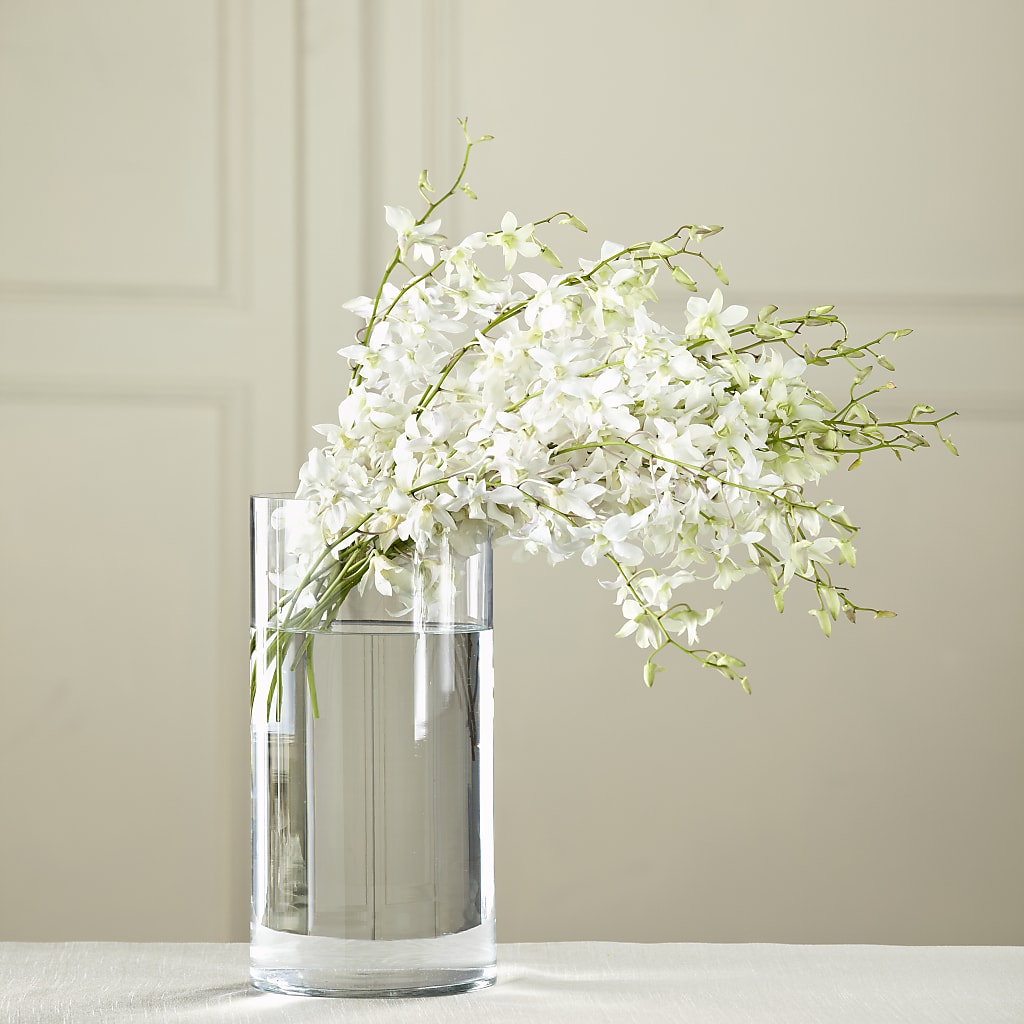 White Dendrobium Bouquet – Mulberry Florist And Gift Shop, Elizabethtown KY