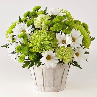 Lucky Charm Basket (Standard) –  Mulberry Florist And Gift Shop, Elizabethtown KY