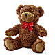 Adorable Plush Bear –  Mulberry Florist And Gift Shop, Elizabethtown KY