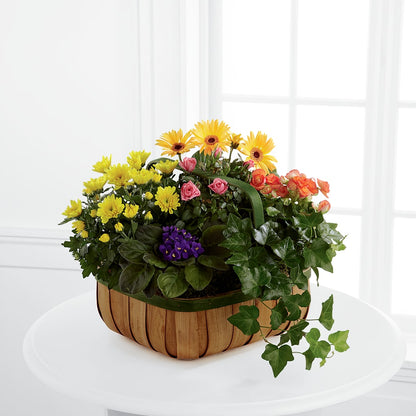 Gentle Blossoms Basket –  Mulberry Florist And Gift Shop, Elizabethtown KY