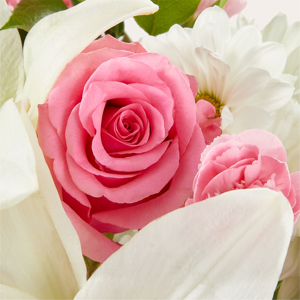 Whispers of Comfort Bouquet –  Mulberry Florist And Gift Shop, Elizabethtown KY