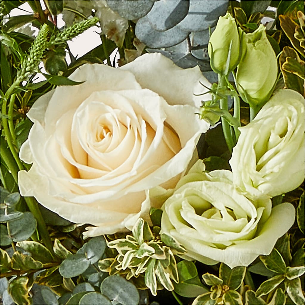 Cashmere Bouquet –  Mulberry Florist And Gift Shop, Elizabethtown KY