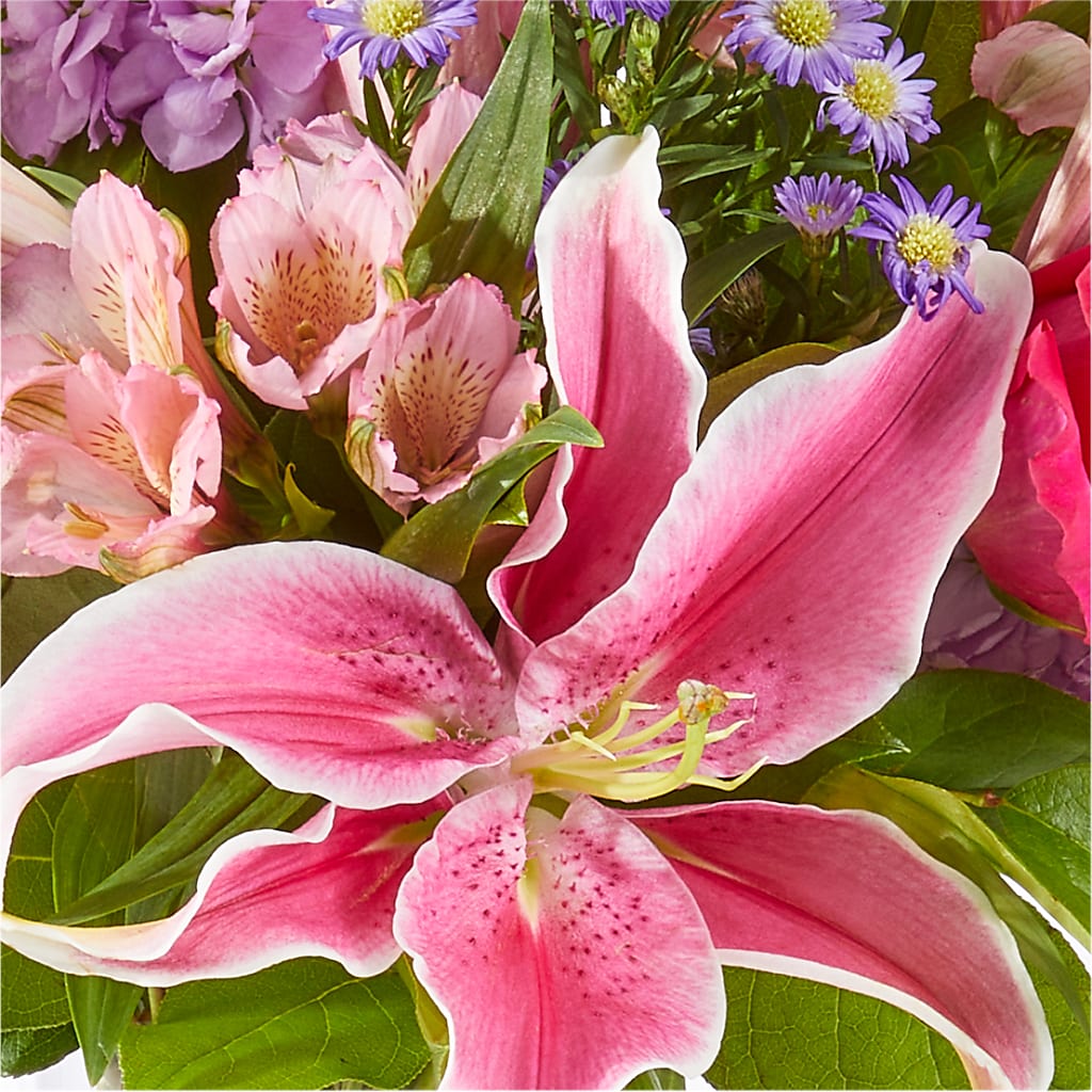 Written in the Stars Bouquet –  Mulberry Florist And Gift Shop, Elizabethtown KY