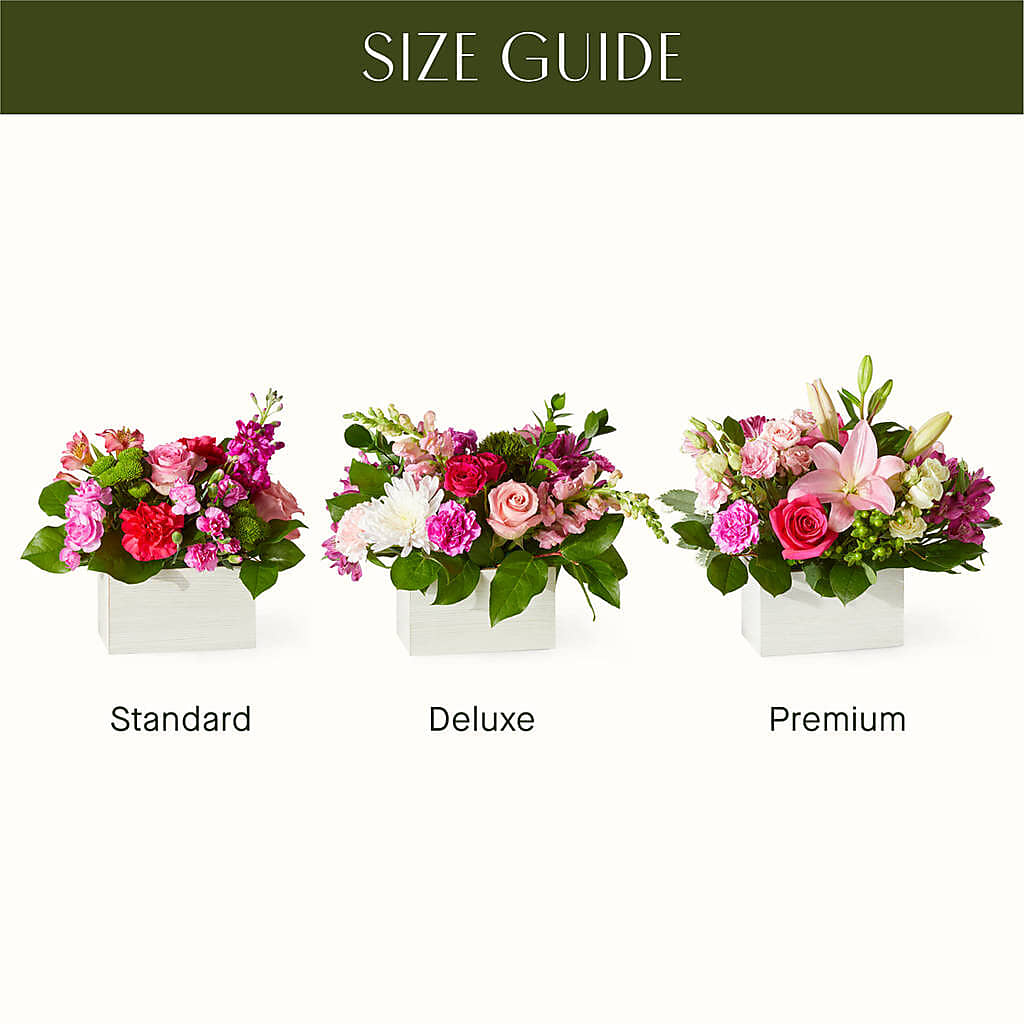 Sweetberry Box – A Florist Original –  Mulberry Florist And Gift Shop, Elizabethtown KY