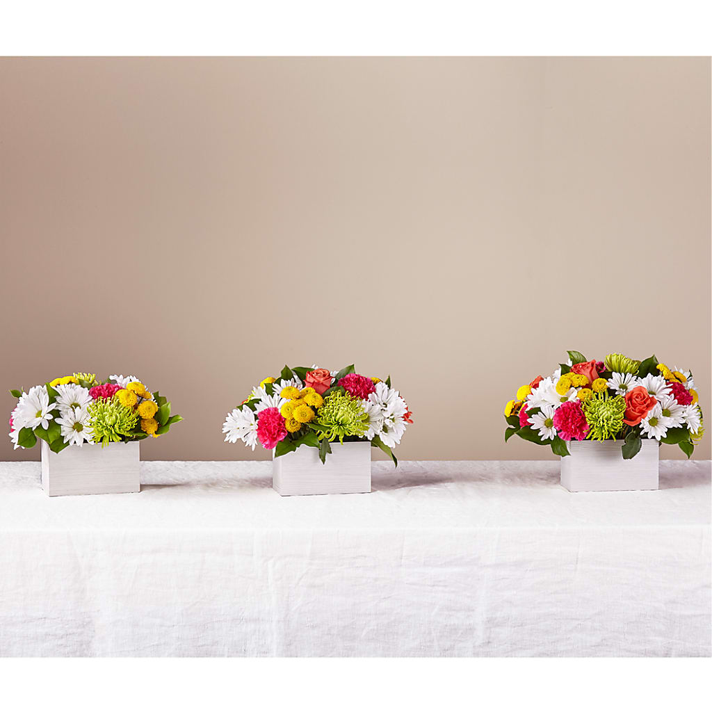 Sorbet Bouquet –  Mulberry Florist And Gift Shop, Elizabethtown KY