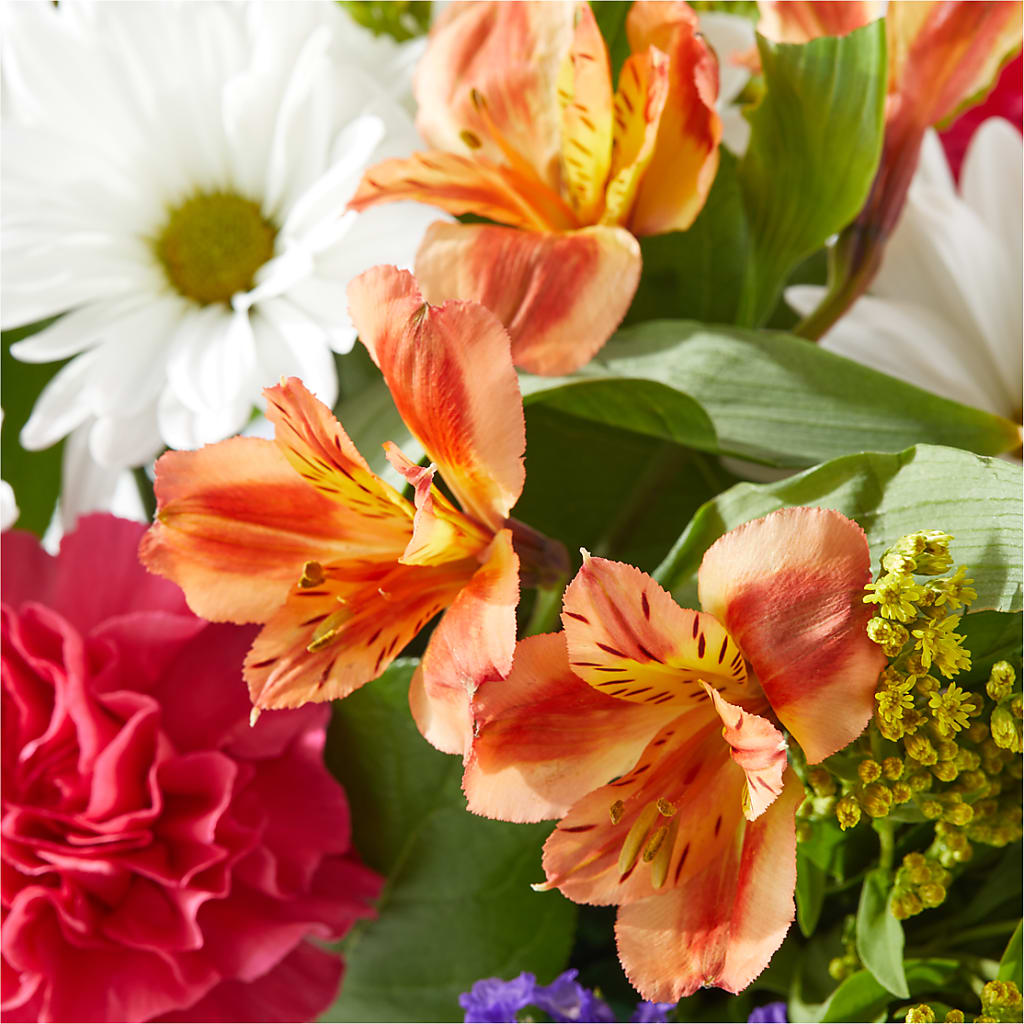 Oopsie Daisy Box Bouquet –  Mulberry Florist And Gift Shop, Elizabethtown KY