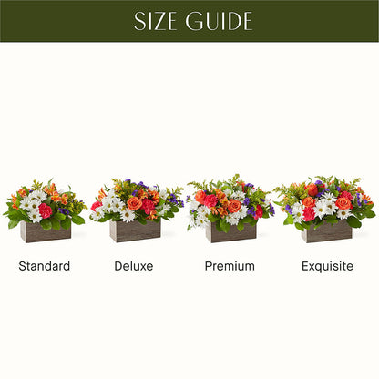 Oopsie Daisy Box Bouquet –  Mulberry Florist And Gift Shop, Elizabethtown KY