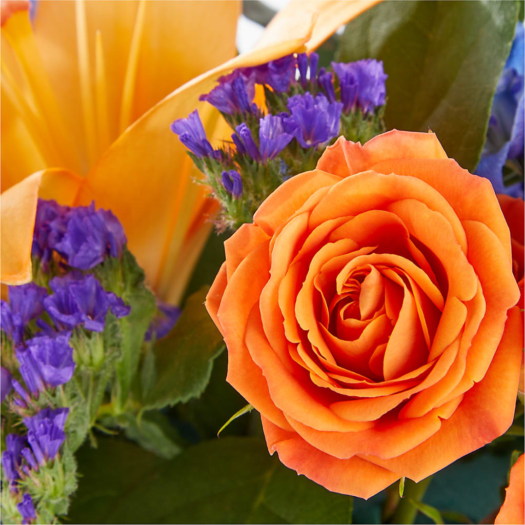 Radiant Citrus Box Bouquet –  Mulberry Florist And Gift Shop, Elizabethtown KY