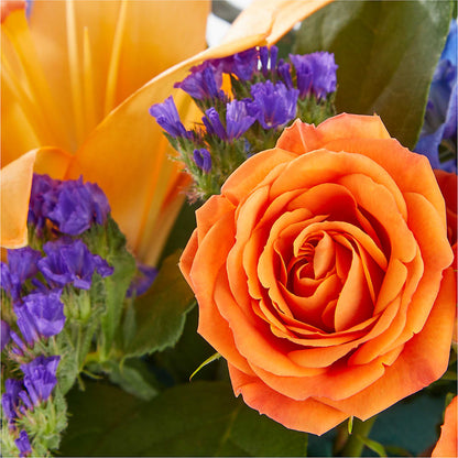 Radiant Citrus Box Bouquet –  Mulberry Florist And Gift Shop, Elizabethtown KY