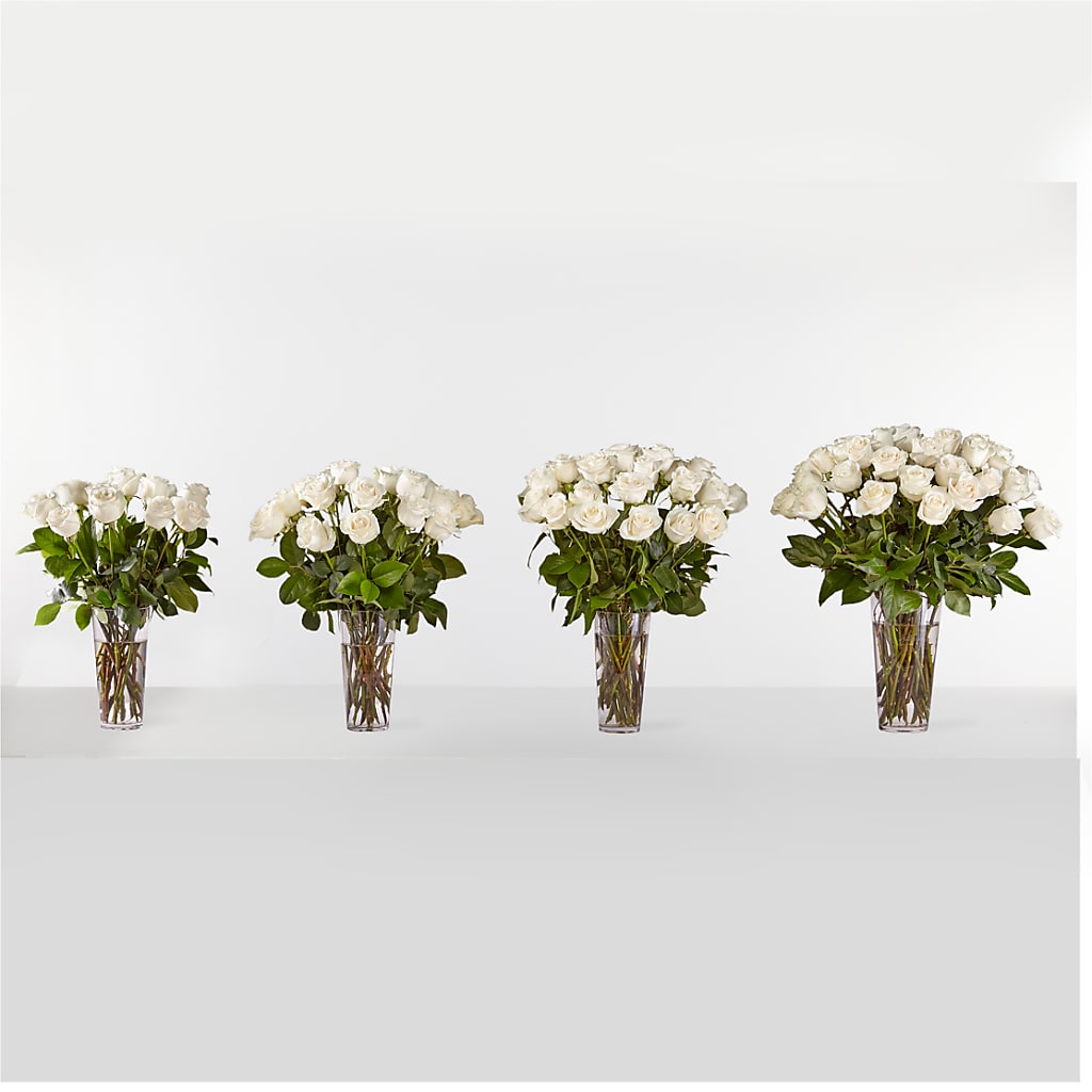 Long Stem White Rose Bouquet –  Mulberry Florist And Gift Shop, Elizabethtown KY