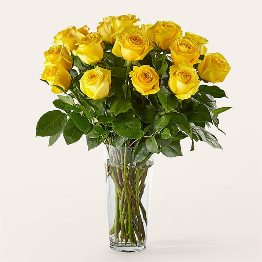 Long Stem Yellow Rose Bouquet –  Mulberry Florist And Gift Shop, Elizabethtown KY