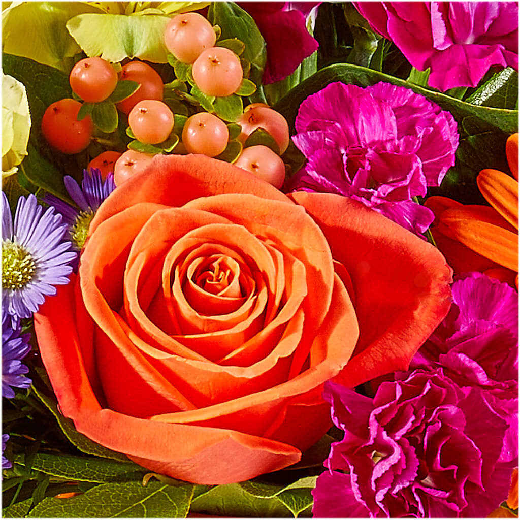 Tricks & Treats Pumpkin –  Mulberry Florist And Gift Shop, Elizabethtown KY