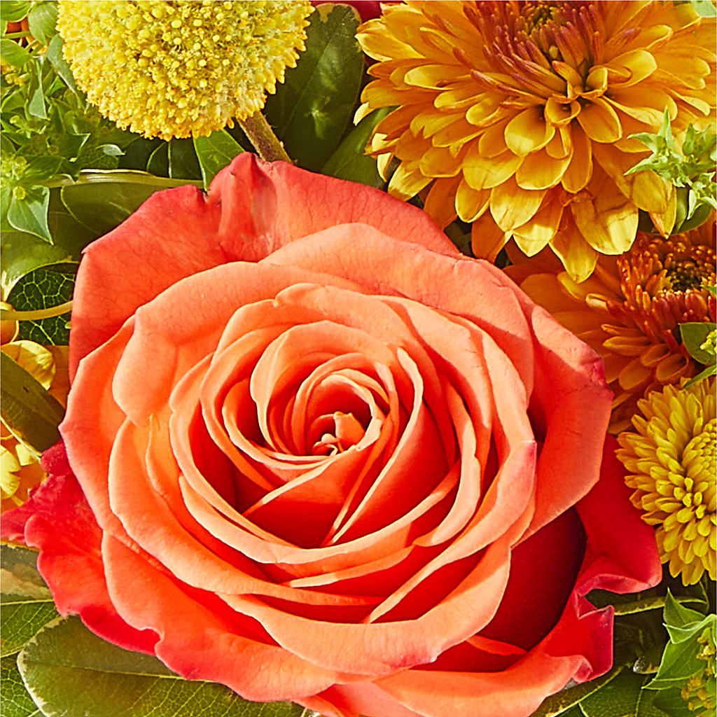 Gourdgeous Pumpkin –  Mulberry Florist And Gift Shop, Elizabethtown KY