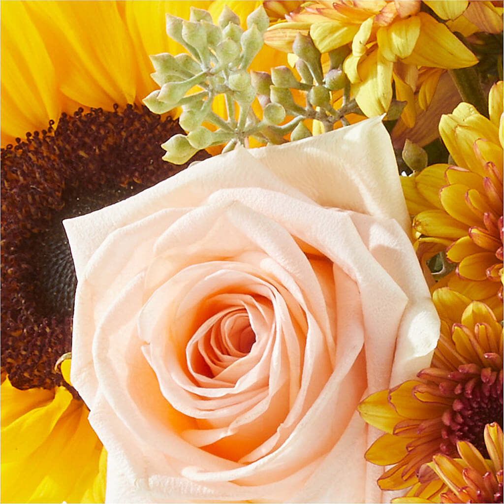 Pumpkin to Talk About Bouquet –  Mulberry Florist And Gift Shop, Elizabethtown KY