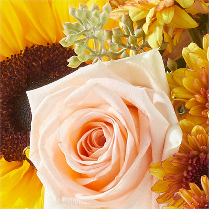 Pumpkin to Talk About Bouquet –  Mulberry Florist And Gift Shop, Elizabethtown KY