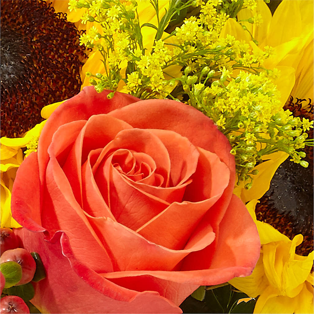Pick of the Patch Pumpkin Bouquet –  Mulberry Florist And Gift Shop, Elizabethtown KY