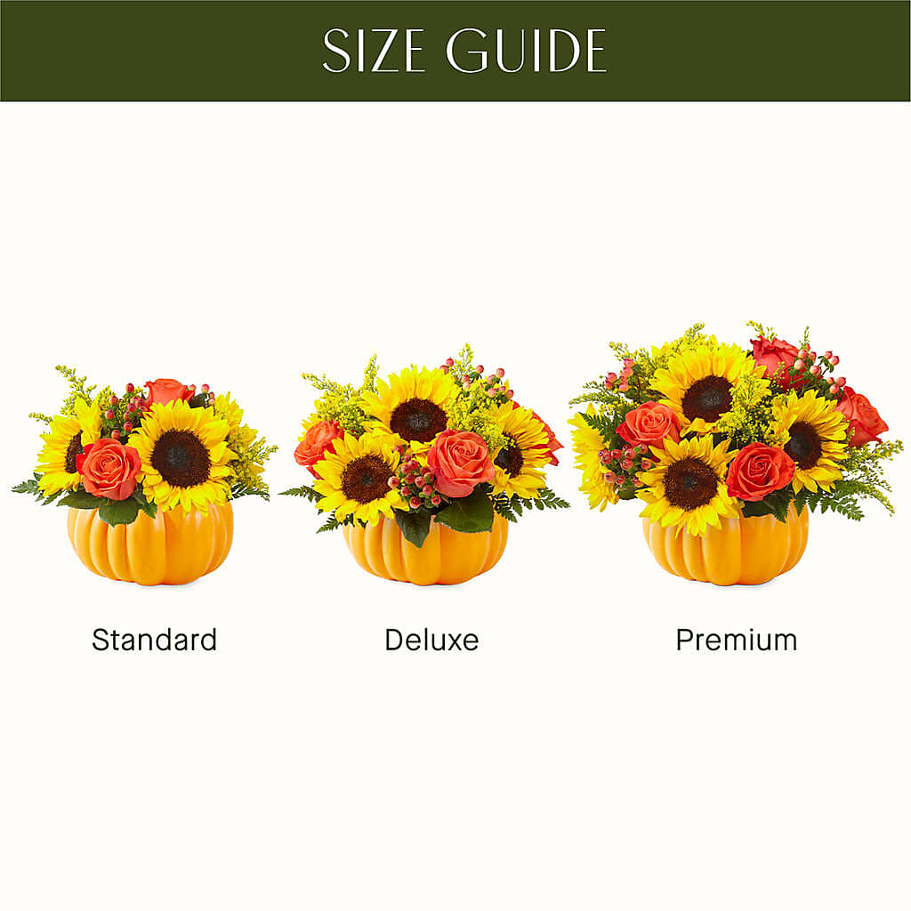Pick of the Patch Pumpkin Bouquet –  Mulberry Florist And Gift Shop, Elizabethtown KY