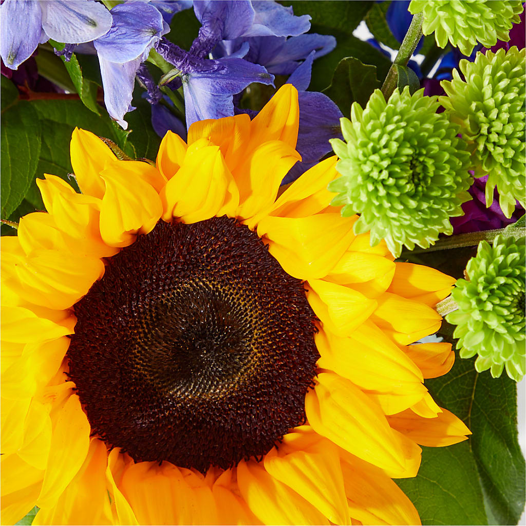 Catching Rays Bouquet –  Mulberry Florist And Gift Shop, Elizabethtown KY