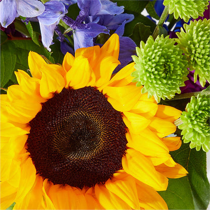 Catching Rays Bouquet –  Mulberry Florist And Gift Shop, Elizabethtown KY