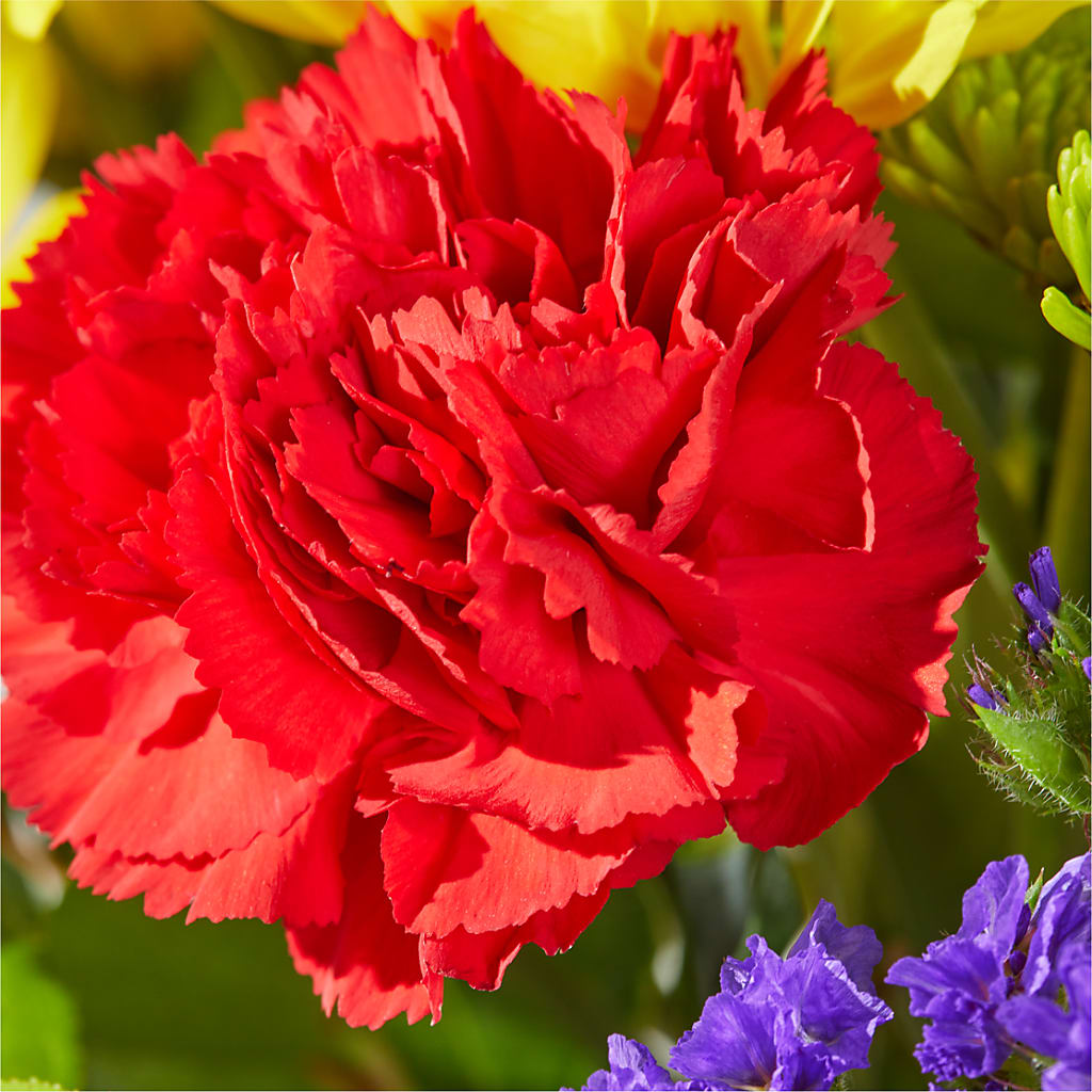 Brighter Days Bouquet –  Mulberry Florist And Gift Shop, Elizabethtown KY