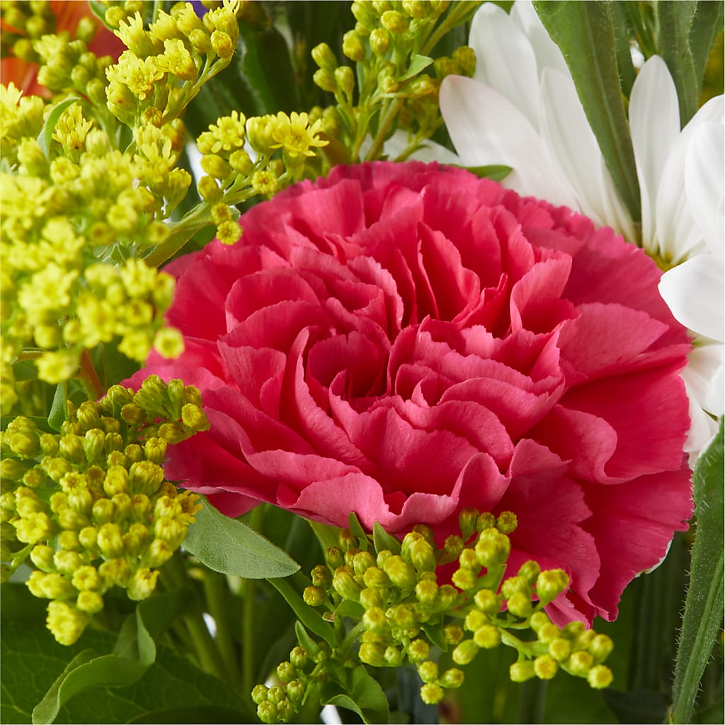 Oopsie Daisy Bouquet –  Mulberry Florist And Gift Shop, Elizabethtown KY