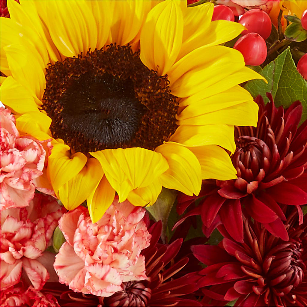 Fresh Cider Bouquet –  Mulberry Florist And Gift Shop, Elizabethtown KY