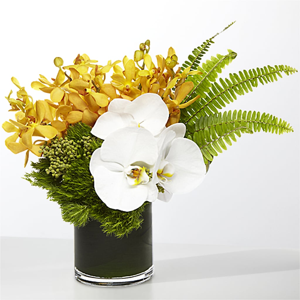 The Tropics –  Mulberry Florist And Gift Shop, Elizabethtown KY