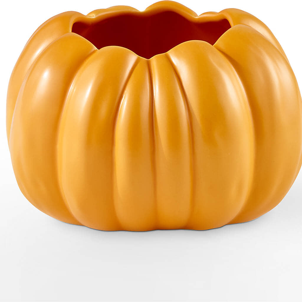 Pick of the Patch Pumpkin Bouquet –  Mulberry Florist And Gift Shop, Elizabethtown KY