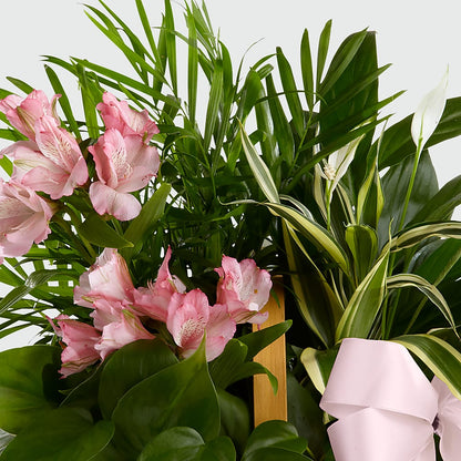 Living Spirit Dishgarden –  Mulberry Florist And Gift Shop, Elizabethtown KY