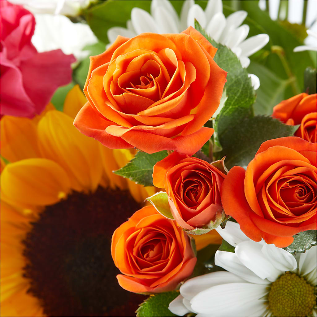 Sun-drenched Blooms Bouquet –  Mulberry Florist And Gift Shop, Elizabethtown KY
