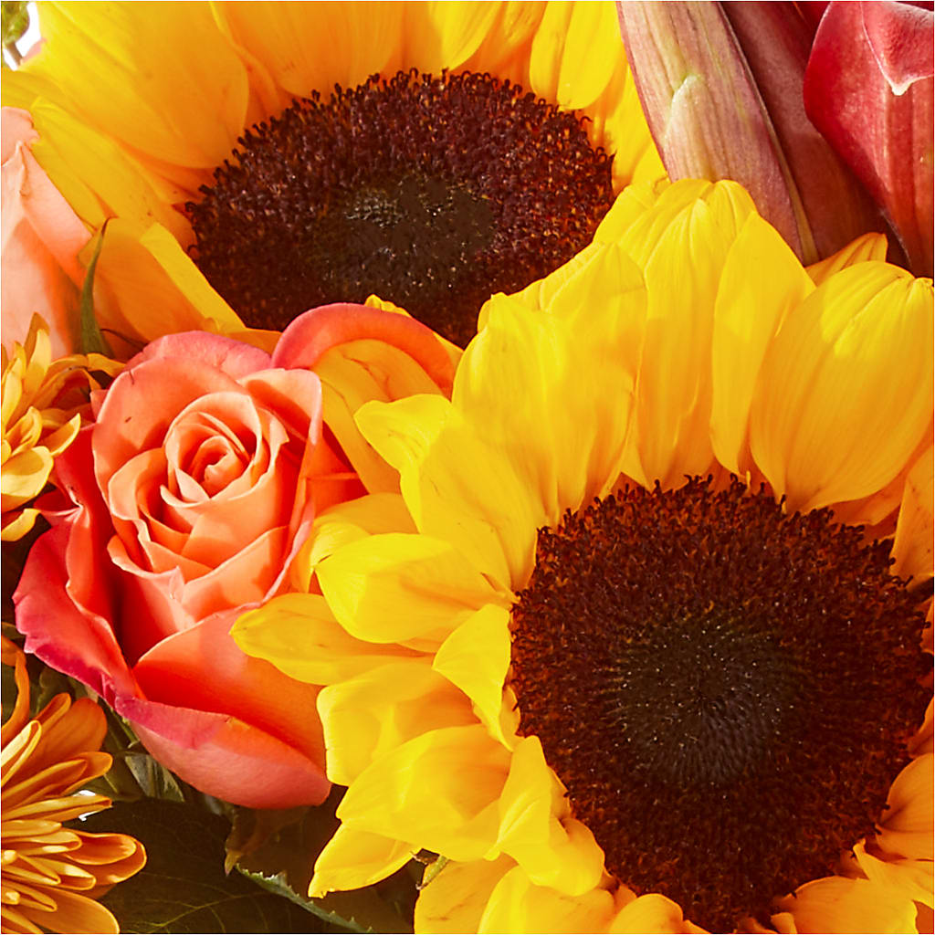 Acorn Lane Bouquet –  Mulberry Florist And Gift Shop, Elizabethtown KY