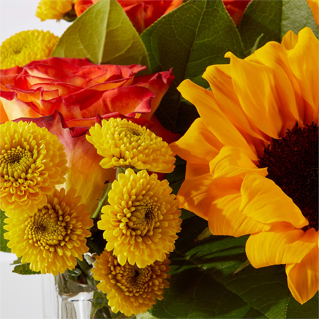 Picnic in the Park Bouquet –  Mulberry Florist And Gift Shop, Elizabethtown KY