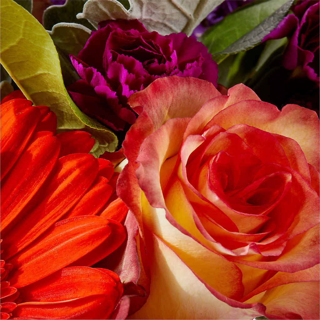 Sangria Bouquet –  Mulberry Florist And Gift Shop, Elizabethtown KY