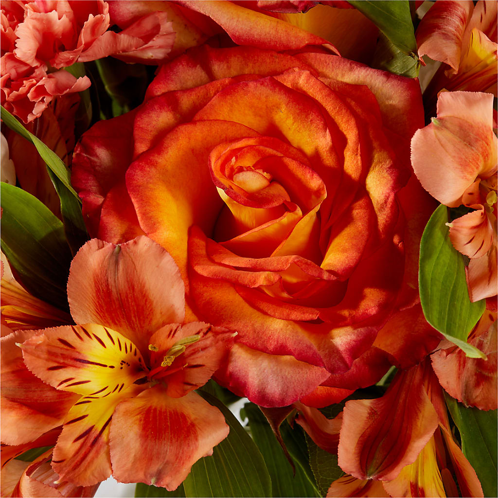 Apricot Glow Bouquet –  Mulberry Florist And Gift Shop, Elizabethtown KY