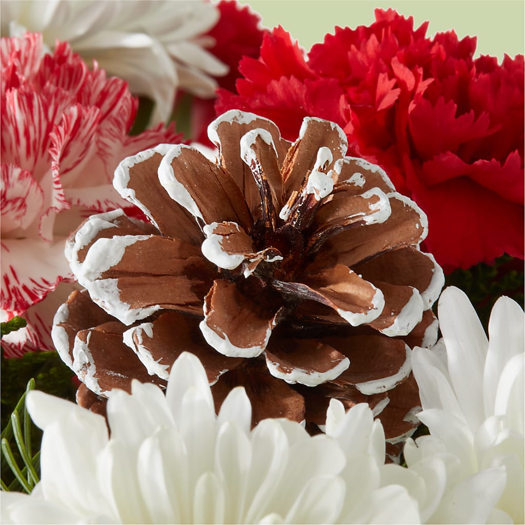 Candy Cane Lane Bouquet –  Mulberry Florist And Gift Shop, Elizabethtown KY