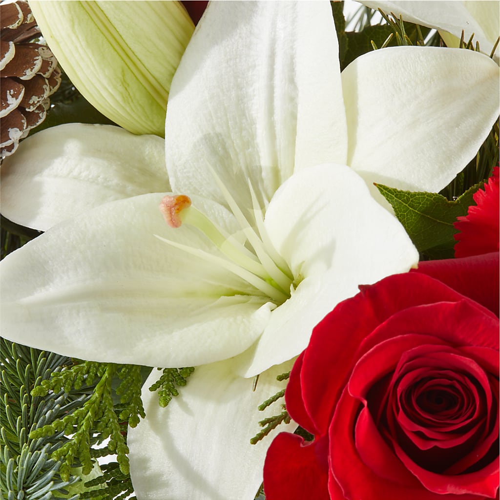 Oh So Jolly Bouquet –  Mulberry Florist And Gift Shop, Elizabethtown KY