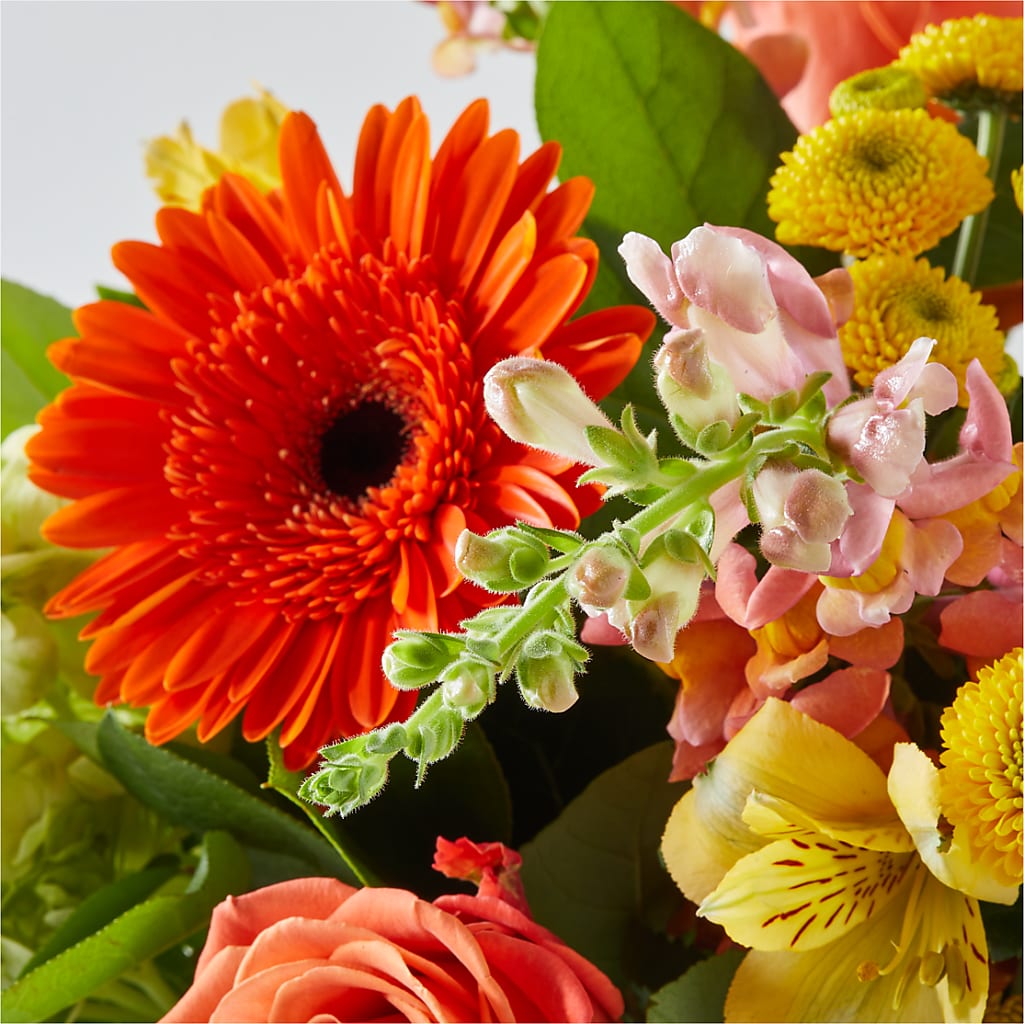 Autumn Sunshine Bouquet –  Mulberry Florist And Gift Shop, Elizabethtown KY