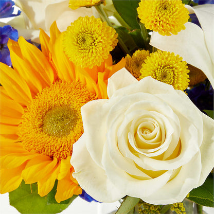 Stargazing Bouquet –  Mulberry Florist And Gift Shop, Elizabethtown KY